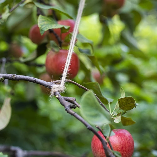 Cordel de juta 2 mm/110 m/250 g - 8