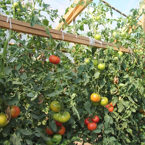 Cordel de polipropileno 1 mm/65 m/50 g - 7