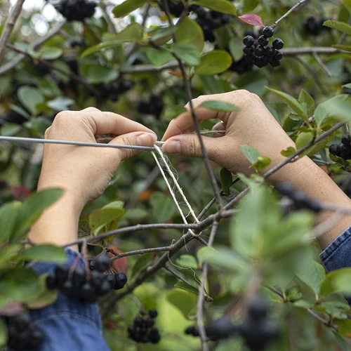 Cordel de sisal 1,8 mm/115 m/250 g - 7