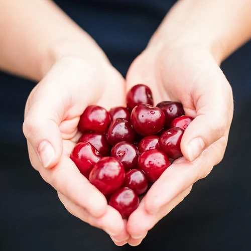 Descaroçador de ginjas e cerejas (em embalagem de plástico) - 7