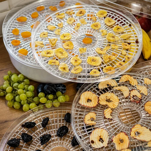 Desidratador para cogumelos, fruta, legumes e ervas aromáticas 125 W - 11