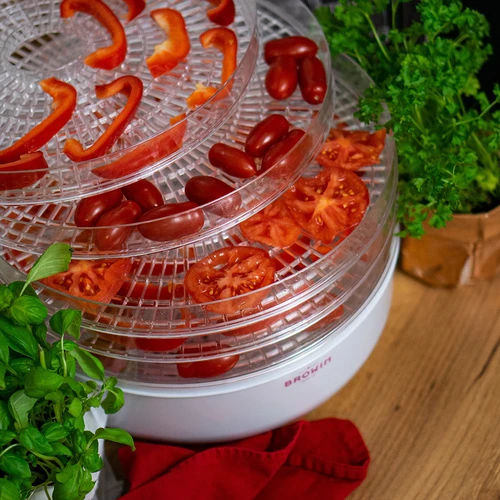 Desidratador para cogumelos, fruta, legumes e ervas aromáticas 125 W - 13