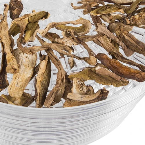 Desidratador para cogumelos, fruta, legumes e ervas aromáticas 125 W - 5