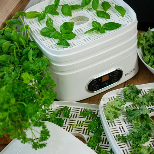 Desidratador para cogumelos, frutas, legumes e ervas com regulação de temperatura, 240 W, branco - 23