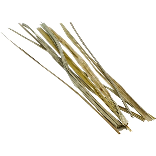 Erva-do-bisonte (Hierochloë odorata) - 12 unidades / 4 L - 4