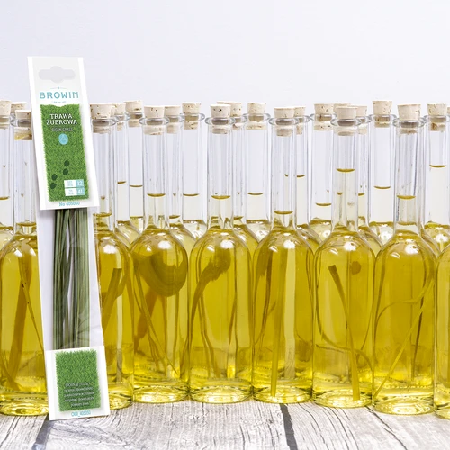 Erva-do-bisonte (Hierochloë odorata) - 12 unidades / 4 L - 8