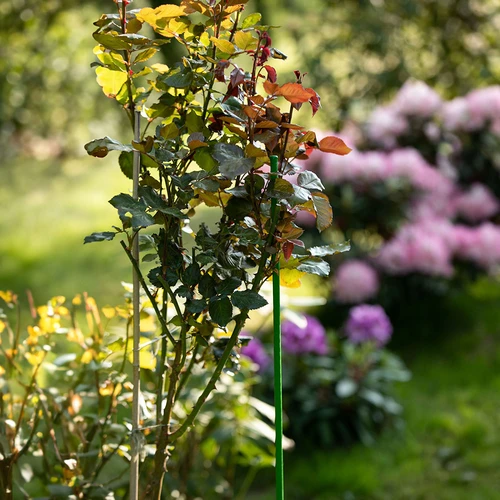 Estaca de aço revestida de PE 0,8m x 8mm - 4