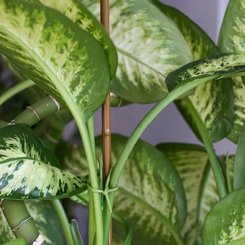 Estaca de aço revestida em forma de bambu, 150 cm x 11 mm - 4