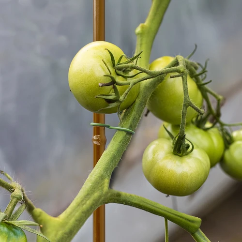 Estaca de aço revestida em forma de bambu, 180 cm x 11 mm - 5