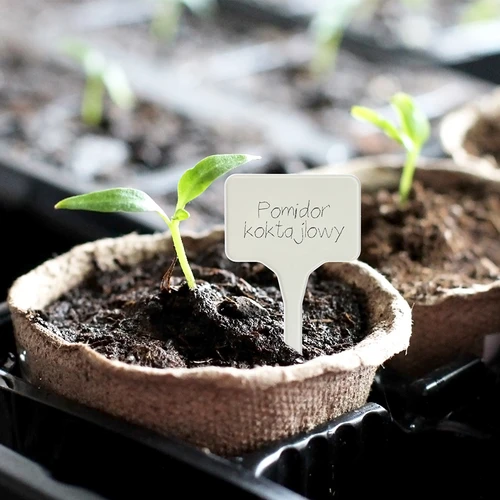 Etiquetas para identificação de plantas + lápis, sortido 10+20 unidades - 11