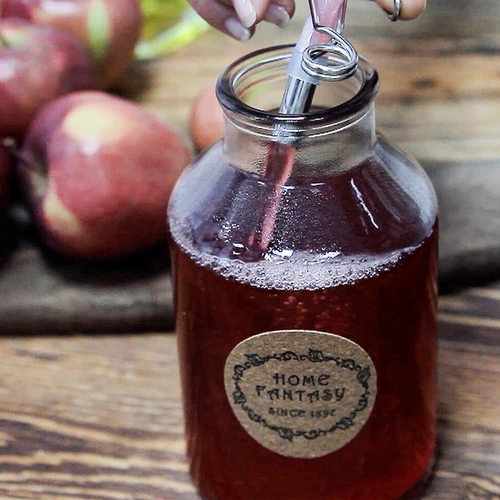Extrator de suco inoxidável 8 L - 17
