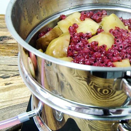 Extrator de sumo a vapor em aço inoxidável, 8 L - 15