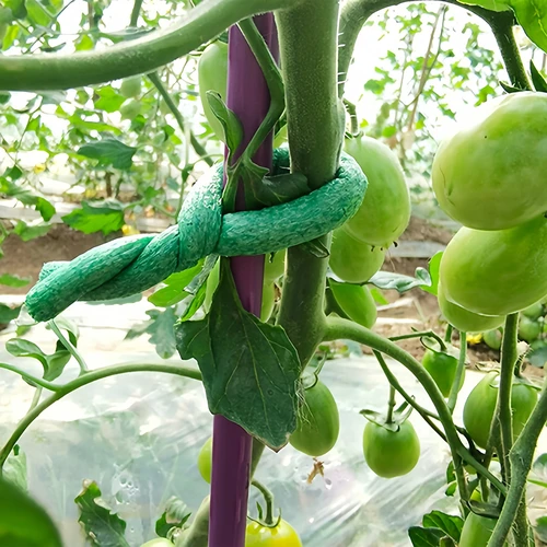 Fio de jardinagem revestido com espuma, verde, 10 m, fi 10mm - 4