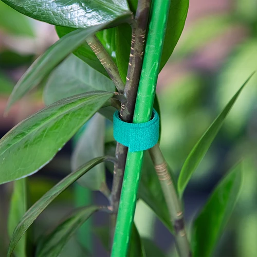 Fita hortícola com velcro, verde, 15 mm x 5 m - 4