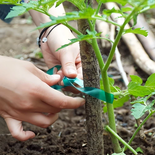 Fita para atar plantas em PVC, 1,2 cm x 40 m - 4