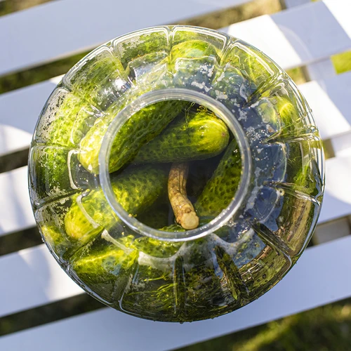 Frasco inquebrável multifuncional para fermentação, 5 L - 5