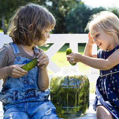 Frasco inquebrável para fermentação, 3 L - 7