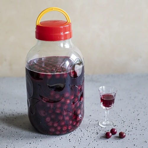 Frasco para licores 5 L com tampa de rosca com pega - 6