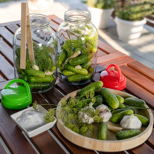 Frasco TO 4 L com tampa Ø 100 mm com pega - 9