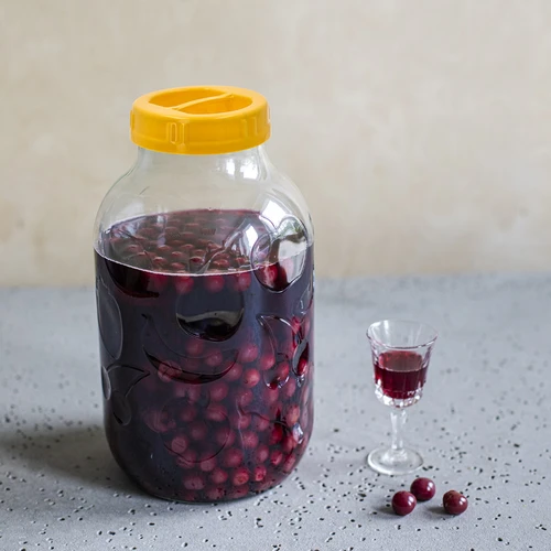 Frasco TO 5 L com tampa de plástico Ø 100, com pega - 5