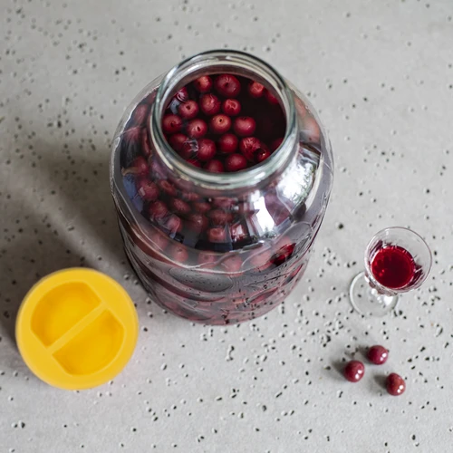 Frasco TO 5 L com tampa de plástico Ø 100, com pega - 6