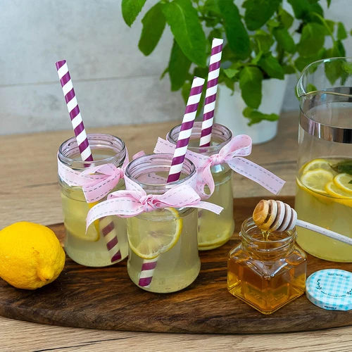 Frasco Twist-Off (TO) 300 ml Ø66 — embalagem de 12 unidades - 8