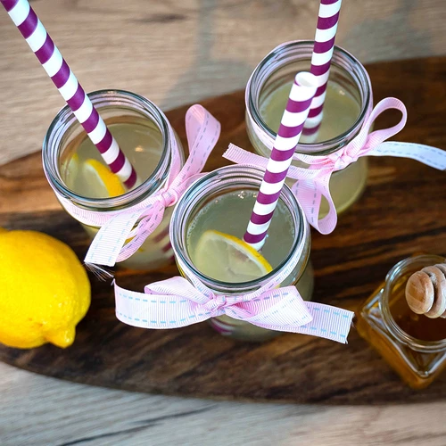 Frasco Twist-Off (TO) 300 ml Ø66 — embalagem de 12 unidades - 9