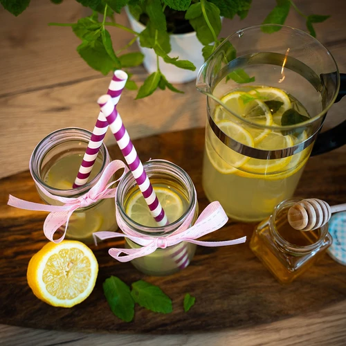 Frasco Twist-Off (TO) 300 ml Ø66 — embalagem de 12 unidades - 11