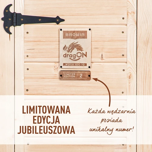 Fumador com Wi‑Fi, 200 L — dragON WOOD 100IQ com módulo elétrico de aquecimento e controlador - 4