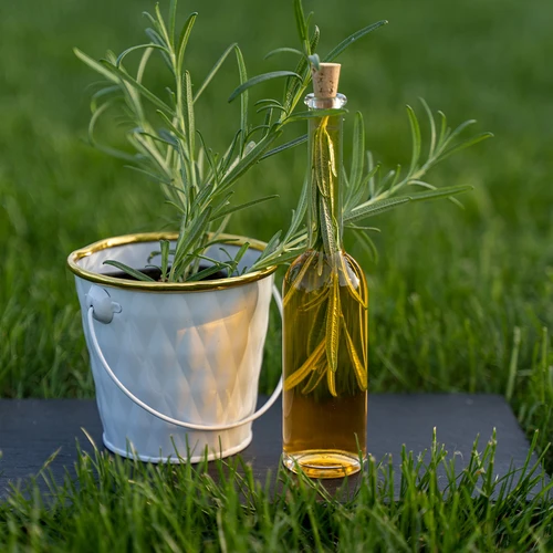 Garrafa para licor 100 ml - conjunto de 6 unidades + 6 rolhas - 10