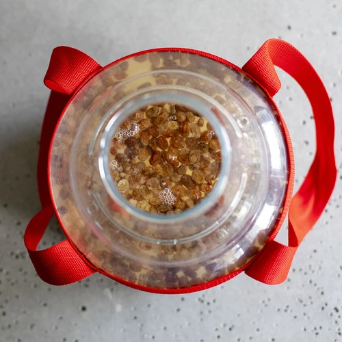 Garrafão para vinho, leve e inquebrável, com alças de transporte, 10 L - 18