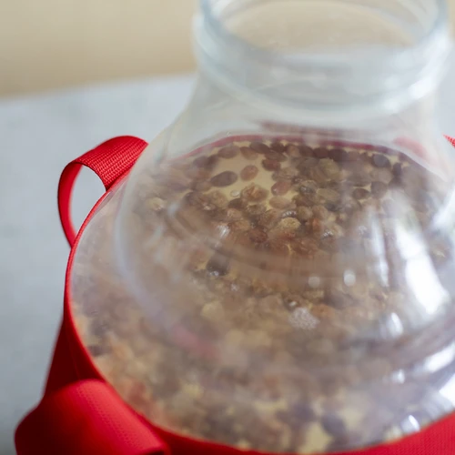 Garrafão para vinho, leve e inquebrável, com alças de transporte, 10 L - 17