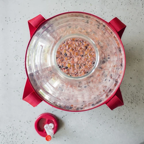 Garrafão para vinho leve, inquebrável, com arnês de transporte, 20 L - 18