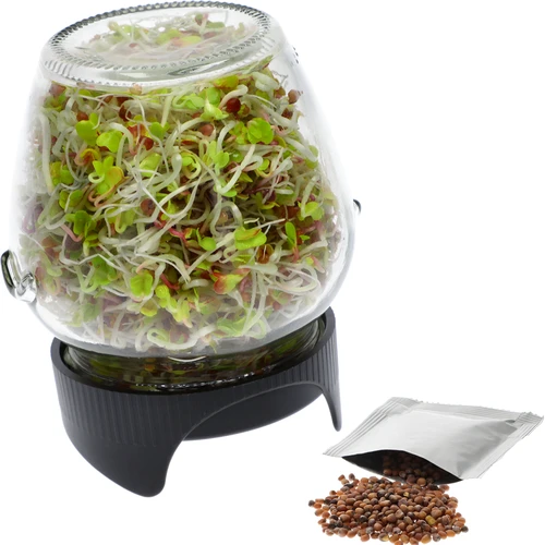 Germinador de pote Twist-off com sementes de rabanete - 2