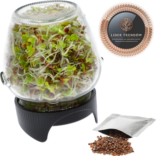 Germinador de pote Twist-off com sementes de rabanete  - 1 