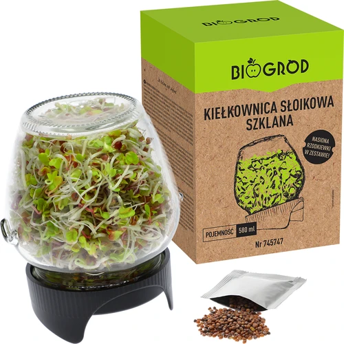 Germinador de pote Twist-off com sementes de rabanete - 5