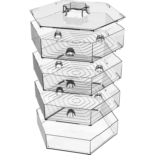 Germinador de vários níveis Niezłe Ziółko + 10 embalagens de sementes - 9