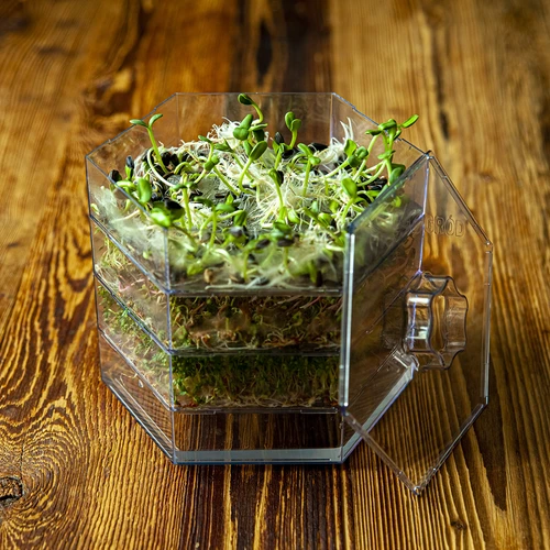 Germinador de vários níveis Niezłe Ziółko + 10 embalagens de sementes - 21