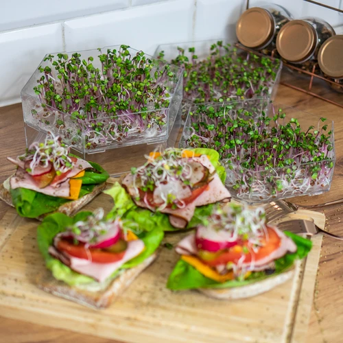 Germinador de vários níveis Niezłe Ziółko + 10 embalagens de sementes - 18