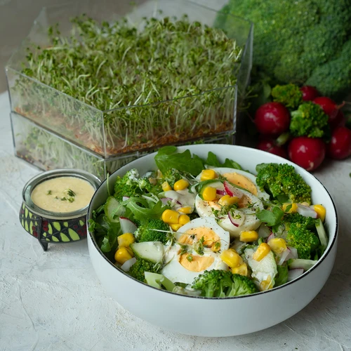 Germinador de vários níveis Niezłe Ziółko + 10 embalagens de sementes - 15