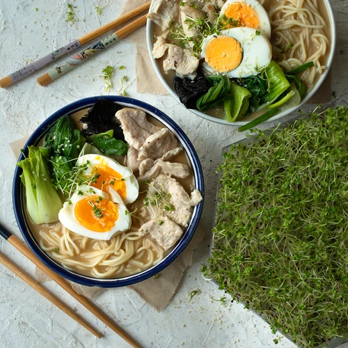 Germinador de vários níveis Niezłe Ziółko + 10 embalagens de sementes - 19