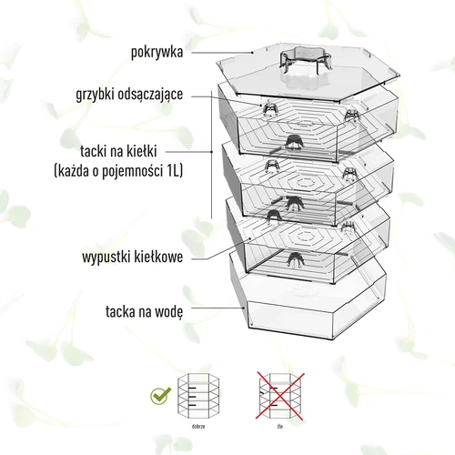 Germinador de vários níveis Niezłe Ziółko + 10 pacotes de sementes - 13