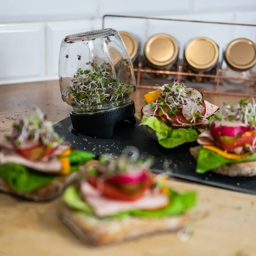 Germinador em frasco com tampa twist-off + 5 embalagens de sementes - 11