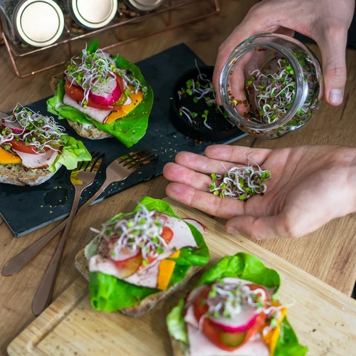 Germinador em frasco com tampa twist-off + 5 embalagens de sementes - 12