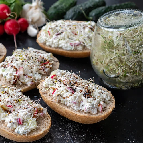 Germinador em frasco com tampa twist-off + 5 embalagens de sementes - 10