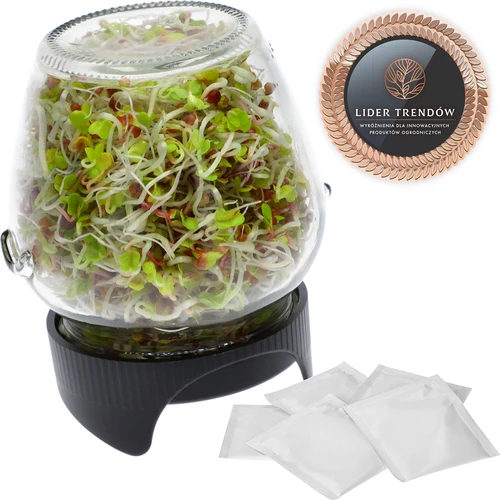 Germinador em frasco com tampa twist-off + 5 embalagens de sementes