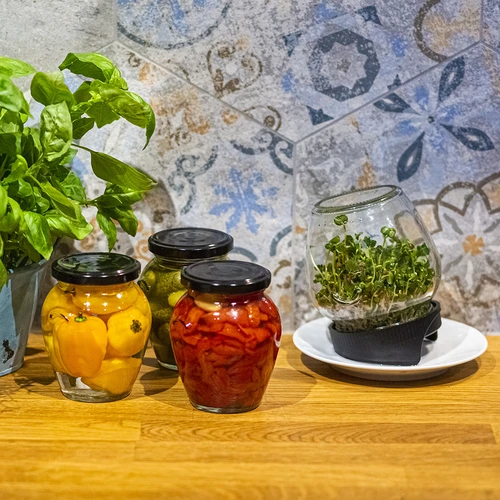 Germinador em frasco Twist-off com sementes de rabanete - 14