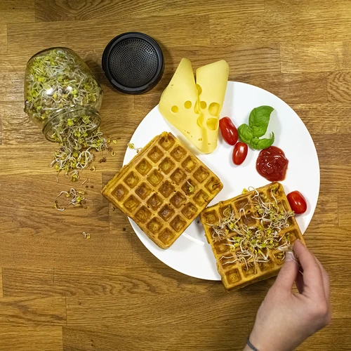 Germinador em frasco Twist-off com sementes de rabanete - 13