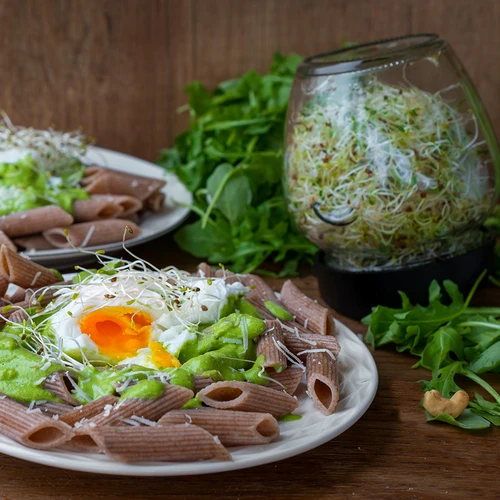 Germinador em frasco Twist-off com sementes de rabanete - 15