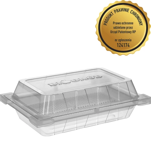 Germinador Zielona Czuprynka com sementes de rabanete - 2